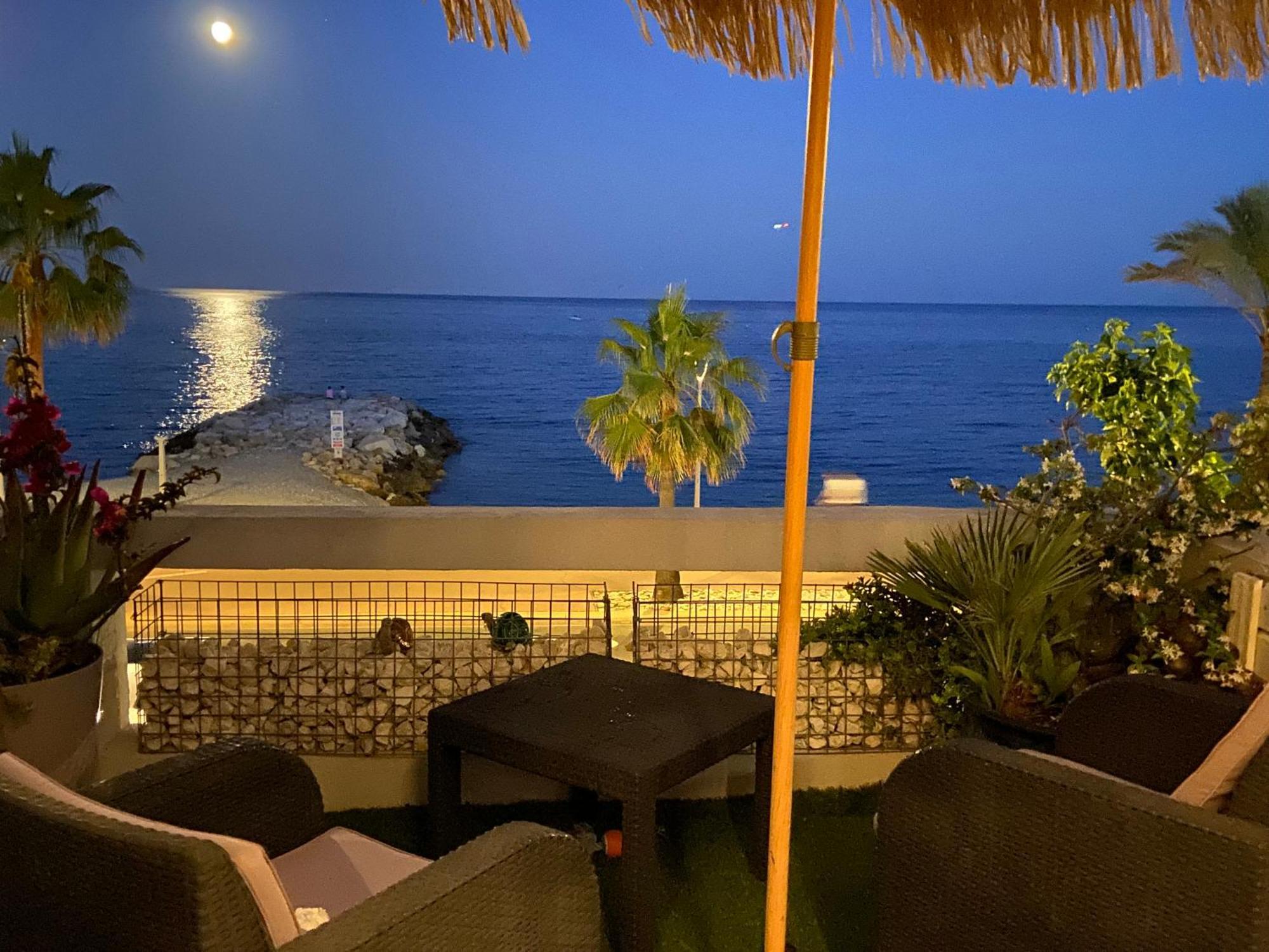 Apartament O Phare Du Cros Cagnes-sur-Mer Zewnętrze zdjęcie